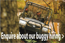 Enquire about our buggy hiring/rental service