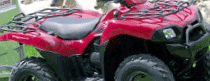 Quads, ATVs, Mules Hire